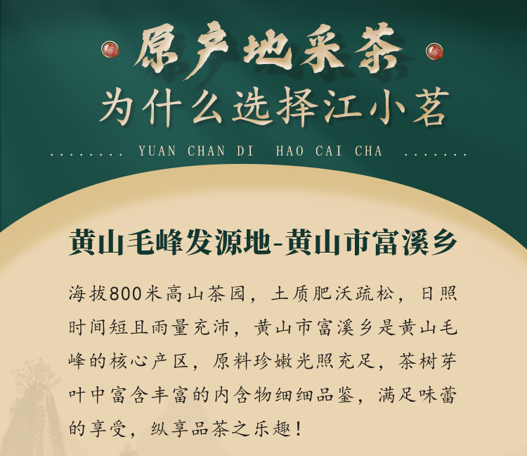 江小茗 特级 安徽黄山毛峰 250g 图4