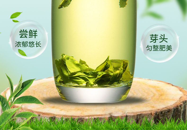 江小茗 21年雨前新茶 特级六安瓜片 250g/罐 图11