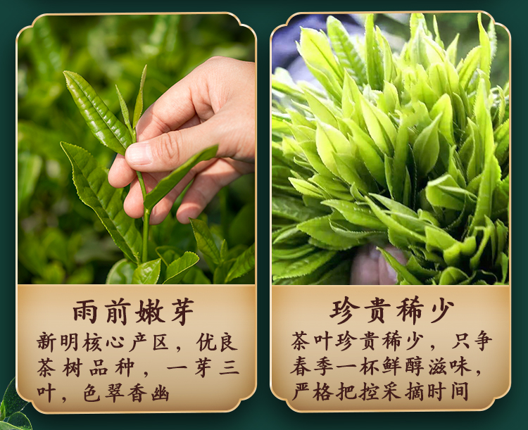 江小茗 特级太平布尖 50g 图8