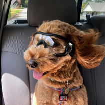 Pet Glasses Teddy Dog Sunglasses Sunscreen Sunscreen Sunglasses For Large Dogs Windproof Transparent Goggles Kirky