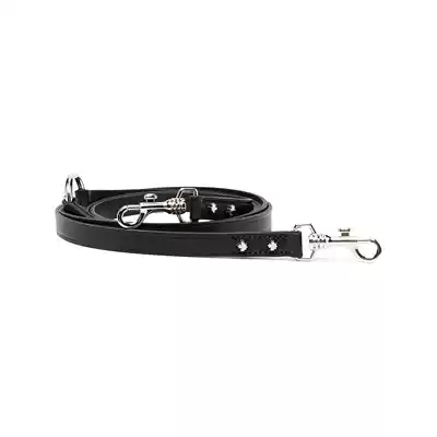 New products] Dsquared2 men and women Universal leather pet chain FARFETCH hair strange
