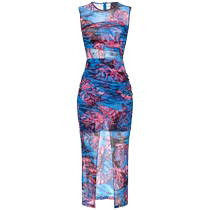 Final Sale]Pinko Womens Graphic Print Sleeveless Midi Dress FARFETCH