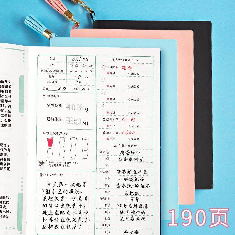 Calendar Diary Record Book 100 Days Plan This Fitness Weight Loss Daily Meal Eating Card