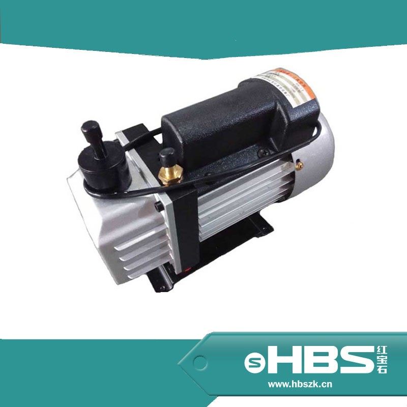 Voltage manufacturers direct sales RS-1 2 single stage rotary vacuum pump New 110V limit pressure 5Pa export