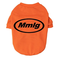 Оранжевый свитшот, английские буквы