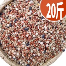 20 catty of new corn-free pigeon food nutrition feed Birds of pigeon-watching pigeon dove young pigeon to be dove food