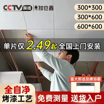 Integrated Ceiling Aluminum Gusset Board 300X600 Office Kitchen Bathroom Painted Ceiling Complete Set of Materials for Self-Installation