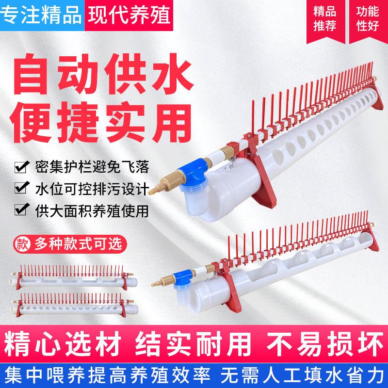 2021 new chicken with automatic drinking trough duck goose with square tube Drinking water feeder Long sink with chicken equipment for feeding