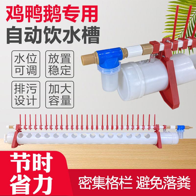 2021 Automatic feeding tank Automatic feeding tank for chicken with drinking trough automatic feeding tank for chickens with new chicken drinkers