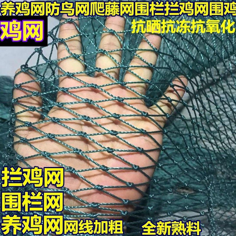 2021 new 100 m Poultry raising chickens nets Chicken Nets Breeding Nets Vegetable Garden Mesh Fence Netting of Chicken Nets Anti-Chicken