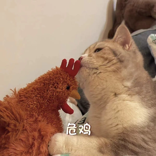 Jeycat Ceaseti Hen Clooni Prooster Ceile Ceile Ceile Chckn Plush Doll Decompression Toys