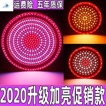  Meat lamp Fresh lamp Pork lantern Corn lamp New lotus cover refrigerated canteen fresh roast duck