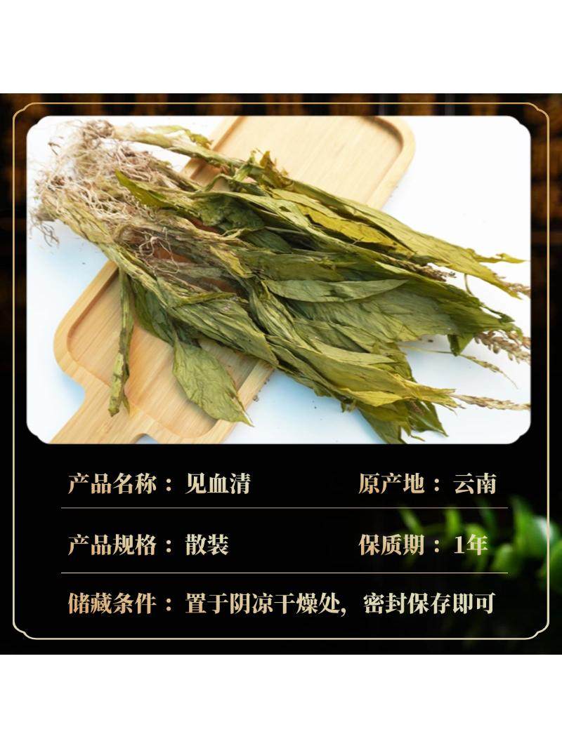Yunnan Jianxue Herbal Medicine, Chinese Herbal Medicine, Sheep's Ear Garlic, Good Quality, Fresh, Air-Dried, No Additives, 100g