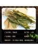 Yunnan Jianxue Herbal Medicine, Chinese Herbal Medicine, Sheep's Ear Garlic, Good Quality, Fresh, Air-Dried, No Additives, 100g