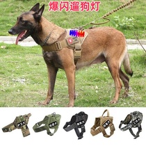 Horse dog leash special tactical harness dog walking Doberman Golden Retriever dog chain German Shepherd training luminous dog walking light
