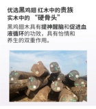 Песня хао Cutus пожилой анти -скользкий откровенный палочка настоящая деревянная стенд Стоп Стоп световой пожилой пожилой кепки пожилых людей