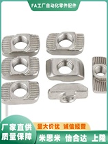 AHC21-206 308 408 4010 G306 G408-M3 M4 M5 M6 M8T type nut profile