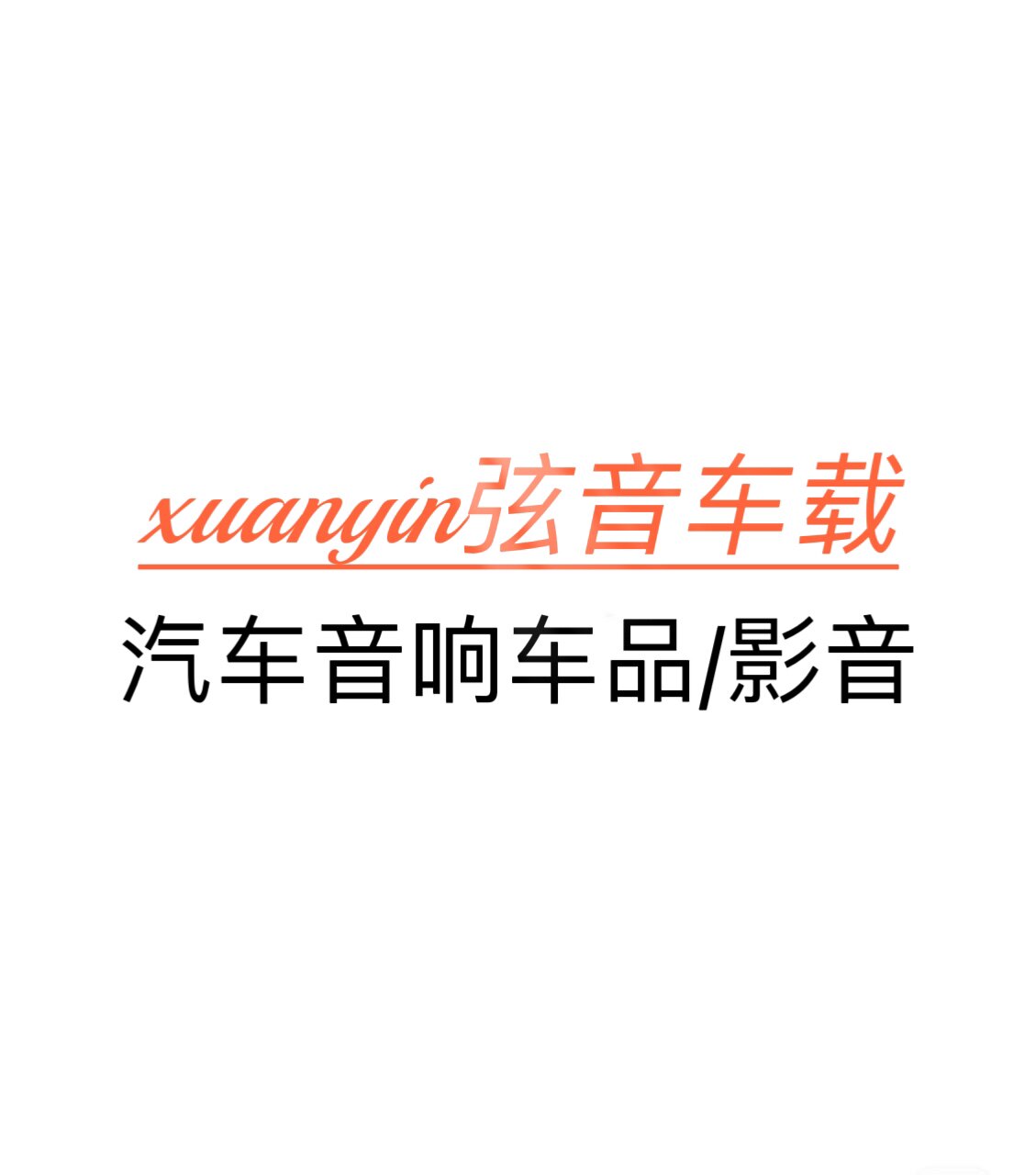 广州炫音车载电子音影