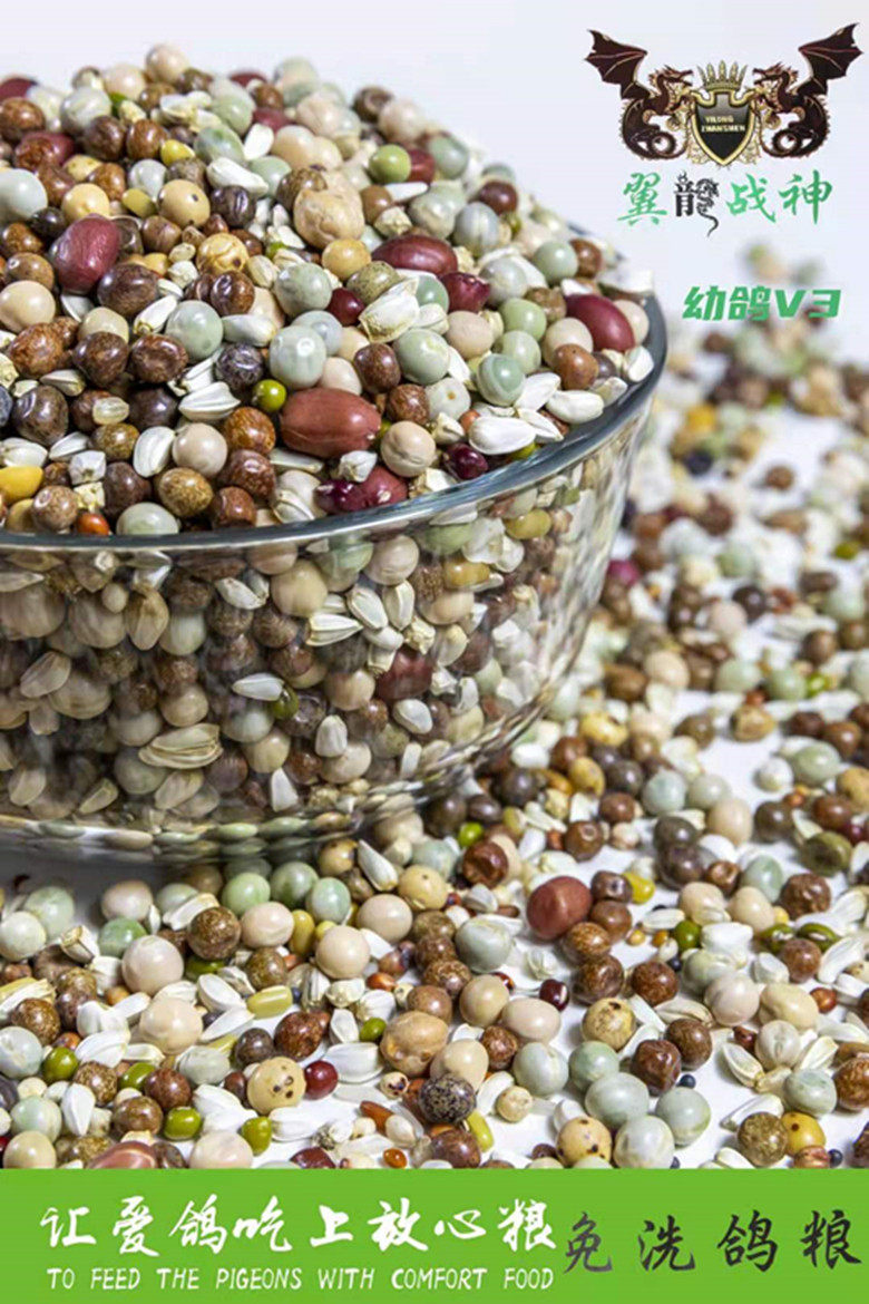 Pterosaur God of War corn-free young pigeon V3 grain racing pigeon feed homing pigeon military pigeon ornamental pigeon meat pigeon bird food 50 catties