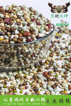 Pterosaur God of War No Corn Baby Pigeon V3 Grain Pigeon Feed Carrier Pigeon Ornamental Pigeon Meat Pigeon Food 50 Jin