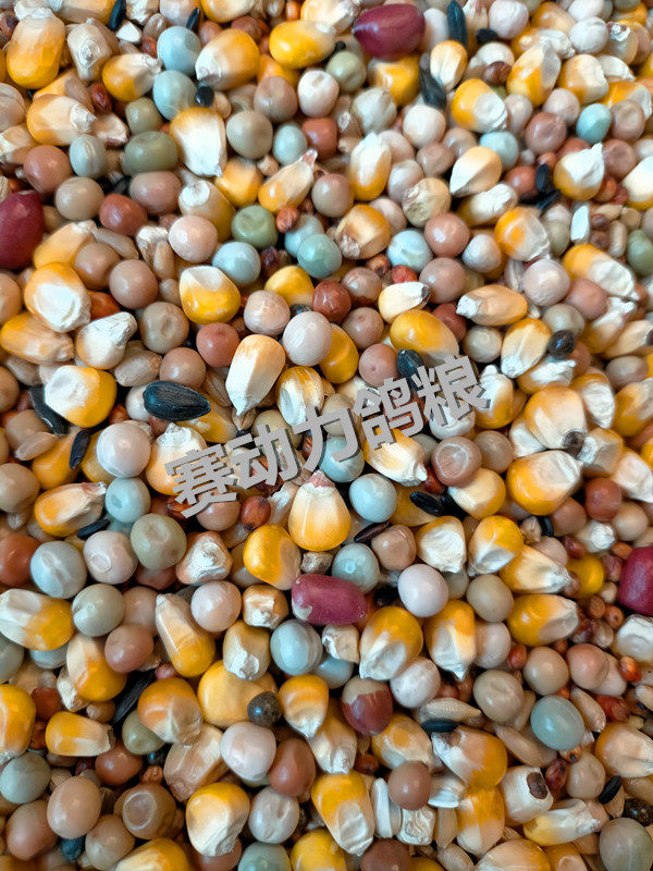 Race power energy nutrition small corn pigeon food pigeon feed bird food 50 jins in Jiangsu, Zhejiang and Anhui