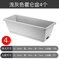 Легкий пепельный геллен длинный цветок горшок [4]