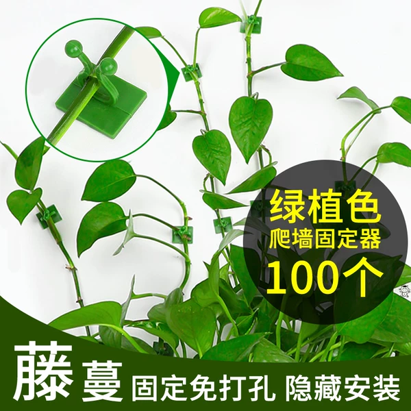 Товары от 绚懿华旭专卖店