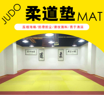 Judo mat competition professional training wrestling mat tatami martial arts Sanda somersault mat fight jujitsu mat