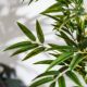 New Chinese-Style Artificial Bamboo Plant for Indoor Living Room Display, Fake Tree Greenery, Floor-Standing Potted Plant, Landscape Decoration Ornament