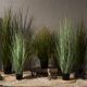 Artificial Green Plants, Reed Flowers, Foxtail Grass, Fake Trees, Floor-Standing Potted Plants, Living Room, Window Display, Clothing Store Decoration Ornaments