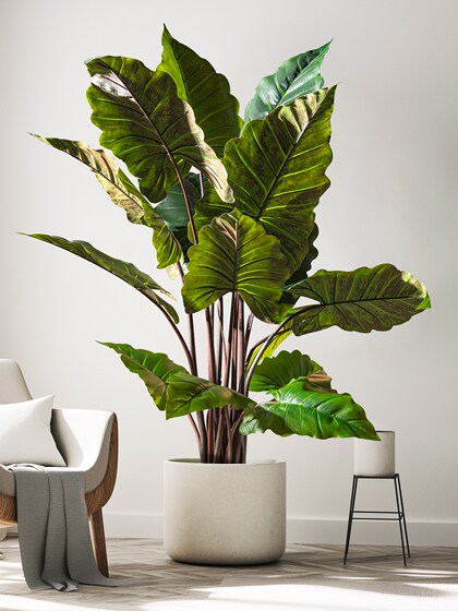 Large Tropical Plants, Indoor Potted Landscaping, High-End Light Luxury Bionic Fake Trees, Green Plants, Floor-Standing Decorative Ornaments