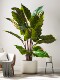 Large Tropical Plants, Indoor Potted Landscaping, High-End Light Luxury Bionic Fake Trees, Green Plants, Floor-Standing Decorative Ornaments