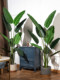 Artificial Green Plant Traveler's Banana Plant Bird of Paradise Fake Tree Indoor Living Room Potted Large Plant Floor-Standing Decorative Ornament