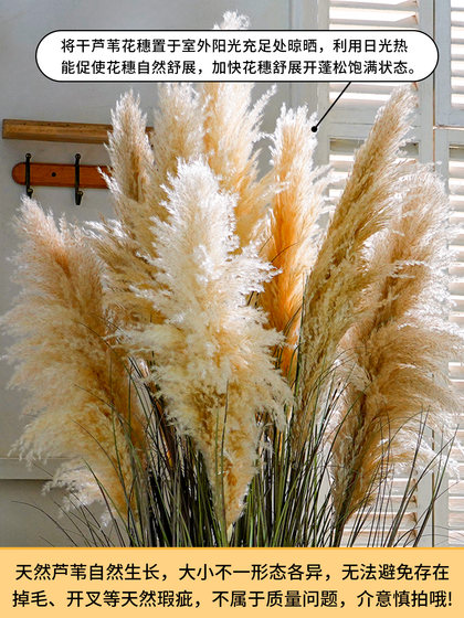 Artificial Reed Dried Flowers for Indoor Decoration, Creating a Landscape Atmosphere, High-End Faux Green Plants, Artificial Flower Trees, Floor-Standing Potted Ornaments