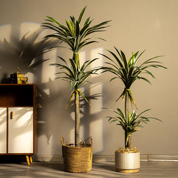Large Artificial Green Plant Agave Potted Plant Indoor Living Room Floor-Standing Landscape Fake Tree Dragon Blood Tree Decorative Ornament