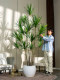 Artificial Plant Dracaena for Indoor Living Room, Fake Tree Floor Decoration, Realistic Green Plant, Millennium Wood for Window Display Decoration