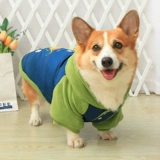 ПЭТ-собака Зимняя одежда осень и зимний интернет-бренд знаменитость теплый утолщенный хлопковой пальто