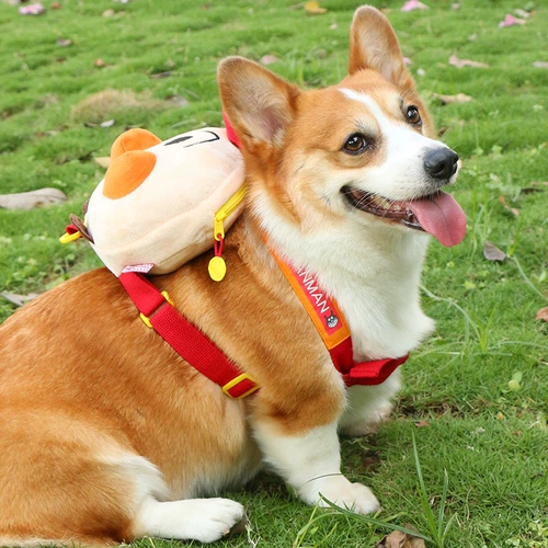 Собачья рюкзак самостоятельно питомец женьшеня