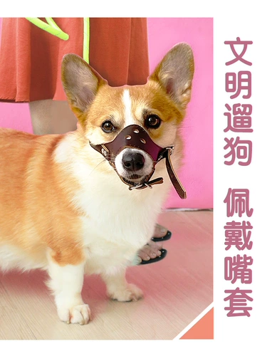 Корпус для домашних собак анти -салон