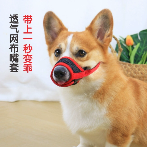 Набор собаки Pet Dog называется анти -каркаторной маленькой собакой средней собакой Corki Shiba Inu Mask Cover, чтобы предотвратить случайное питание