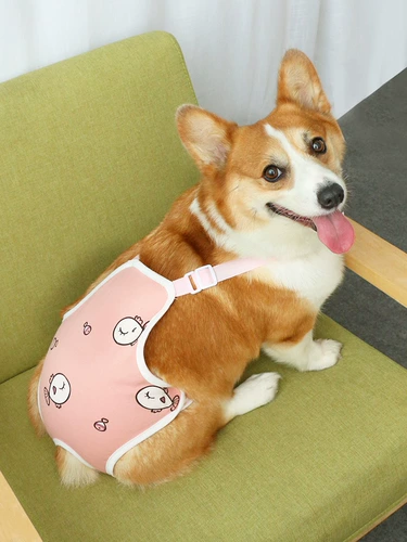 Физиологические штаны для домашних животных.