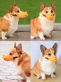 Pet Dog Root Cover Corgi Roth Crace Craising Calling Средняя собака кора лая лай