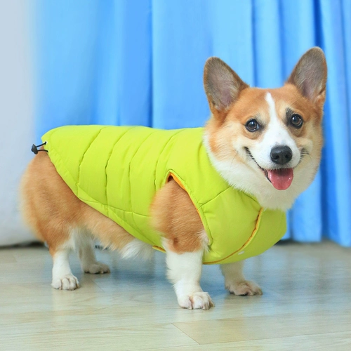 Зимний удерживающий тепло жилет, демисезонный пуховик, популярно в интернете