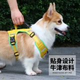 Деребное веревочное кольцо для собаки Corgi Special Special с маленьким собачьем жилетом собачьего жилета собака веревка летняя собака ремешок для собак