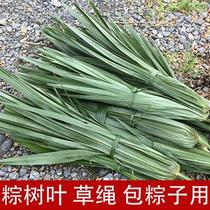 Palm tree leaf grass rope farm dumplings special rope natural grass rope natural grass rope natural pollution-free pollution-free