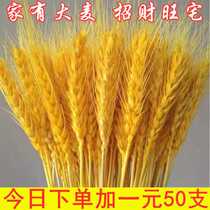 Natural Wheat Ears Dry Flower Bouquet New Year Living-room With Flowers Gold Wheat Ears Dry Flower Flower Flower Flower Flower Flower Flower Arrangement Decorations A Treasure House