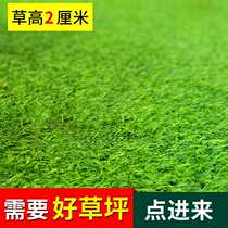 Simulation Lawn Mat Artificial Outdoor Nursery School Home Artificial Plastic Engineering Walled Off Fake Turf Carpet Trim