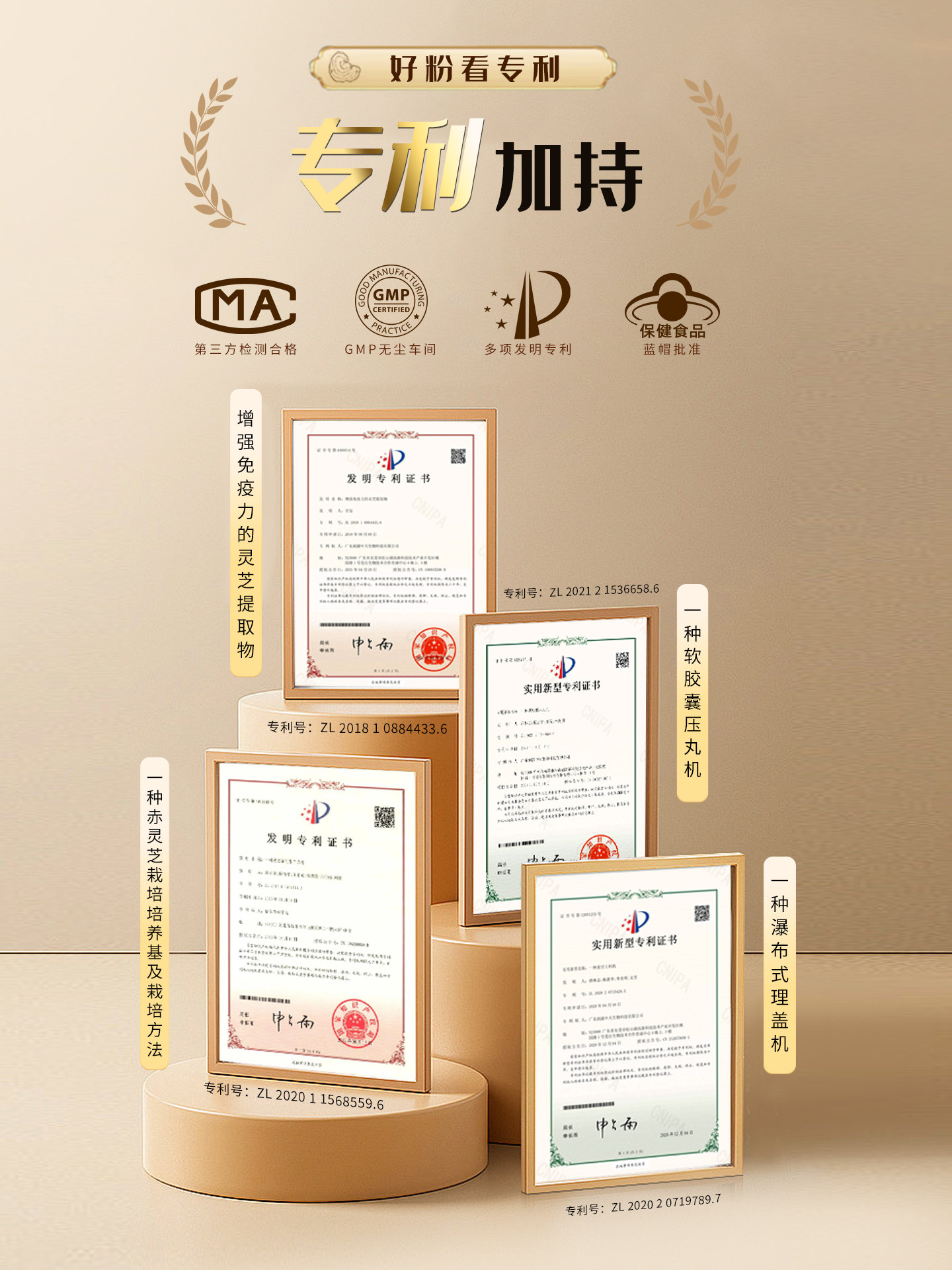 Yuyi Ganoderma Spore Powder Capsules, Health Supplement for Middle-Aged and Elderly People, Official Store Genuine Product