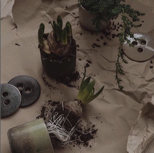 Swe Nordic Fan Рекомендация 丨 Шведская импортная рука