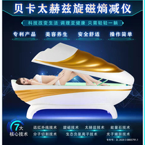 Bekaa terahertz gyromagnetic entropy subtraction instrument physiotherapy sweat steaming massage capsule bio-resonance sweating beauty health cabin